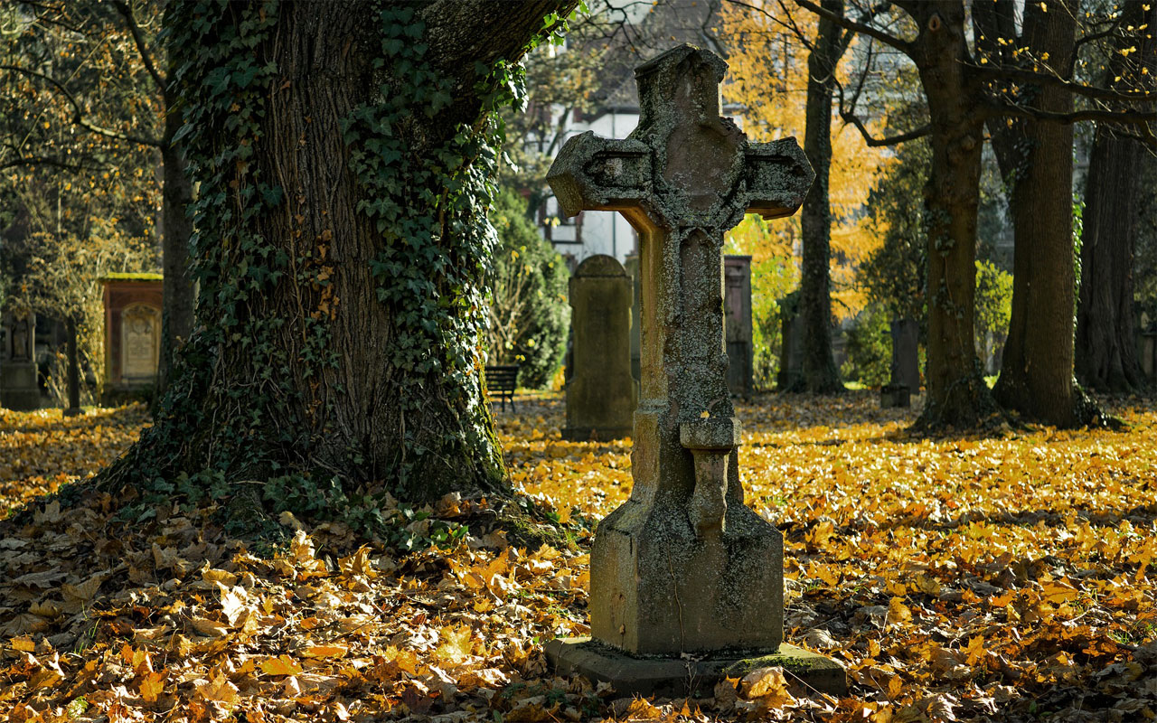 cintorín lístie jeseň