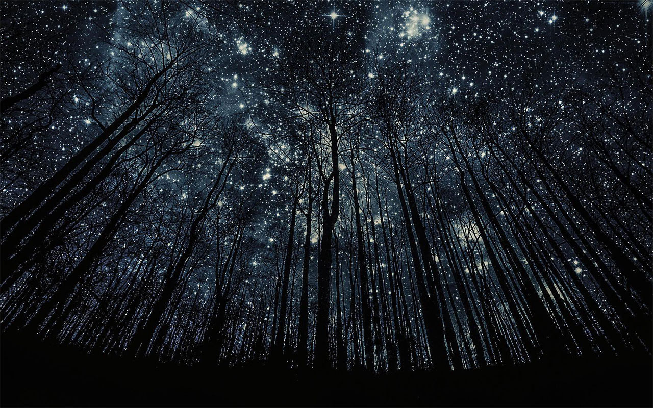 noc hviezdy stromy
